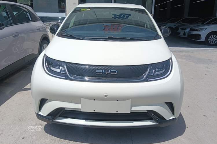 Used BYD Dolphin 2024 Honor Edition 420km Freedom Version Front