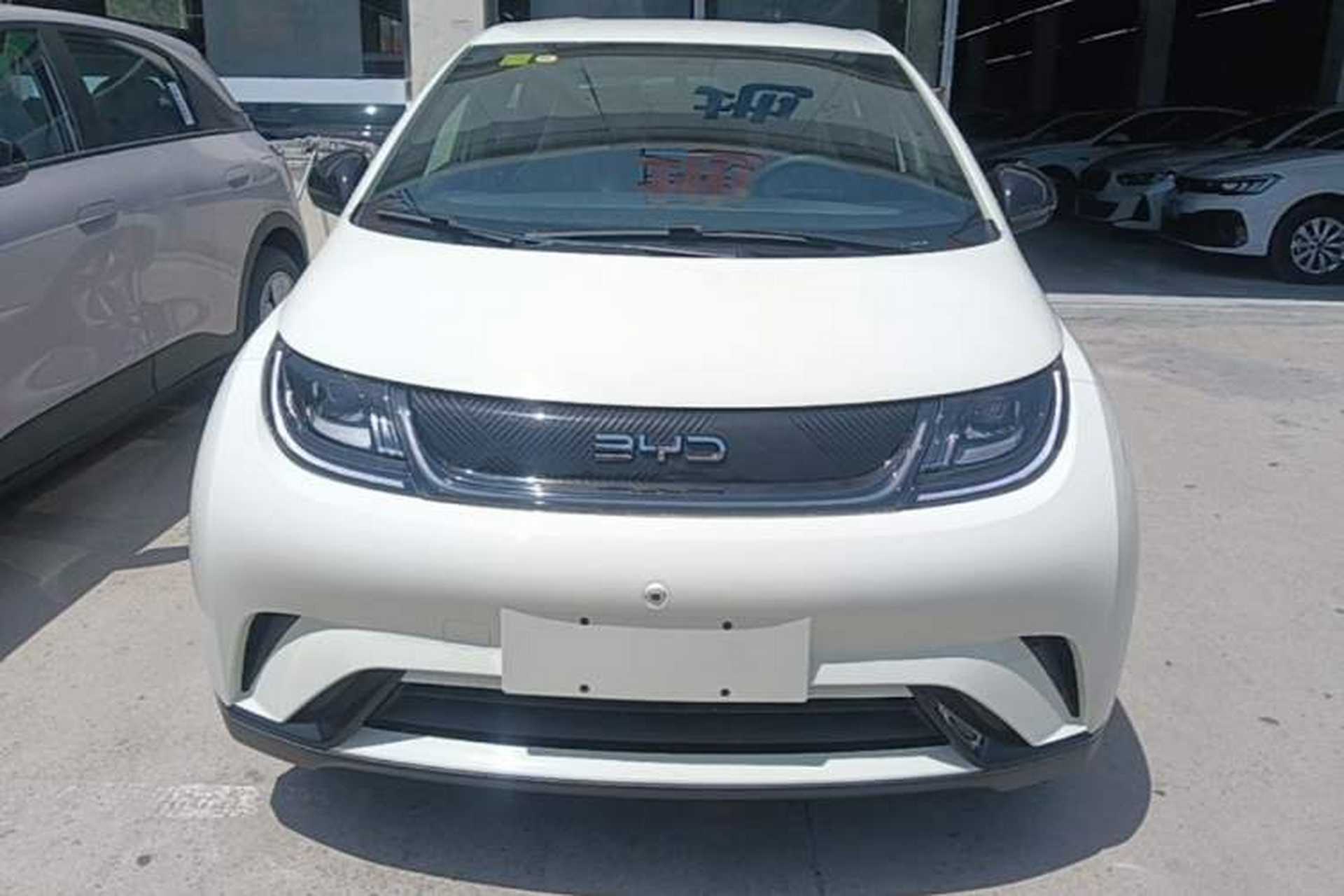 Used BYD Dolphin 2024 Honor Edition 420km Freedom Version Front