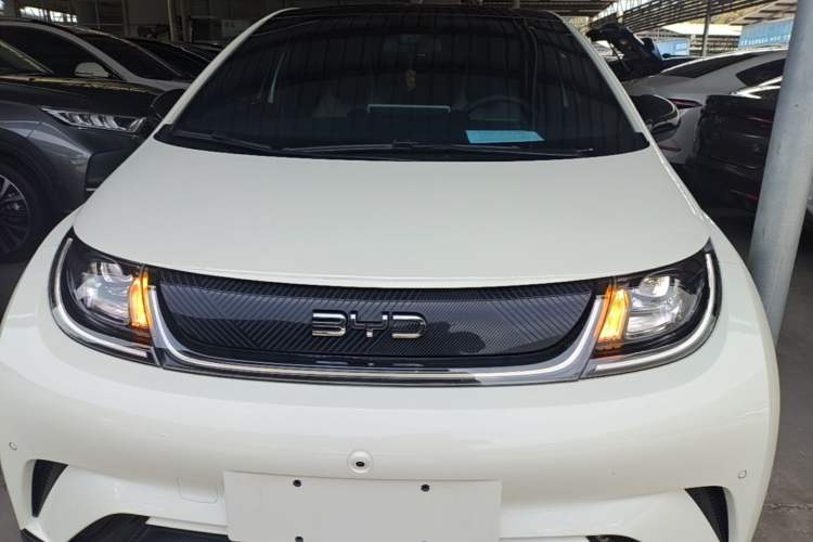 Used BYD Dolphin 2024 Honor Edition 420km Fashion Version Front
