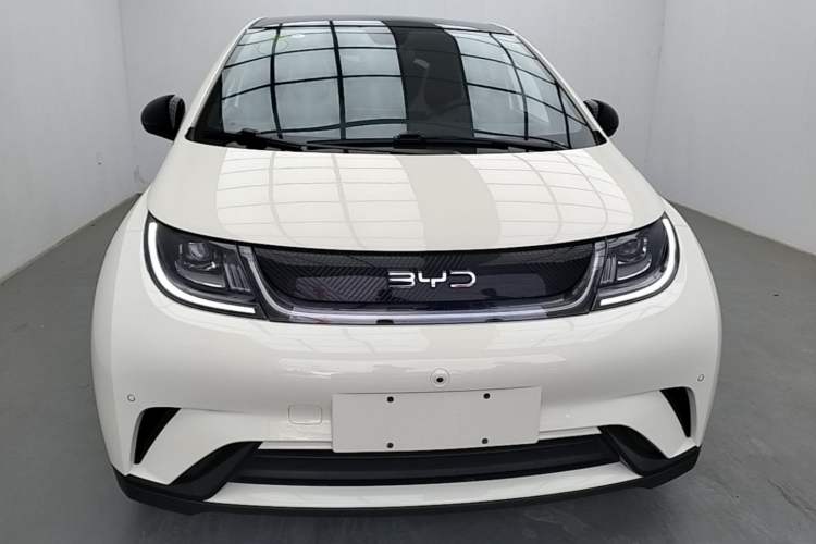 Used BYD Dolphin 2024 Honor Edition 420km Fashion Version Front