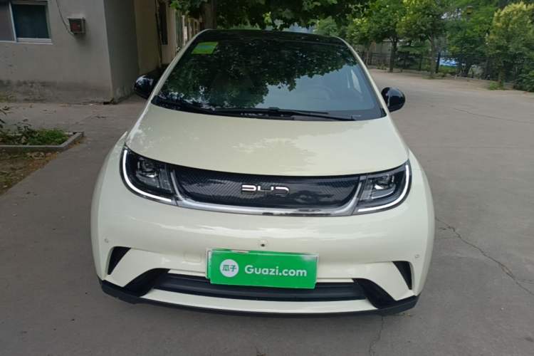 Used BYD Dolphin 2024 Honor Edition 420km Fashion Version Front