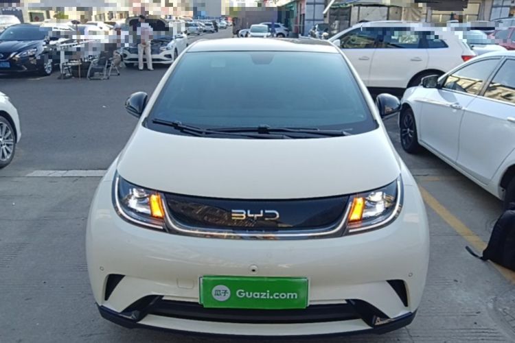 Used BYD Dolphin 2024 Honor Edition 420km Fashion Version Front