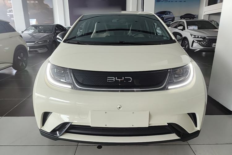 Used BYD Dolphin 2024 Honor Edition 420km Freedom Version Front