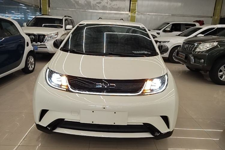 Used BYD Dolphin 2024 Honor Edition 420km Freedom Version Front