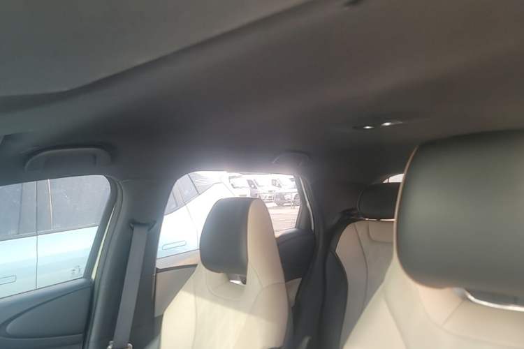 Used BYD Dolphin 2024 Honor Edition 420km Freedom Version Headliner