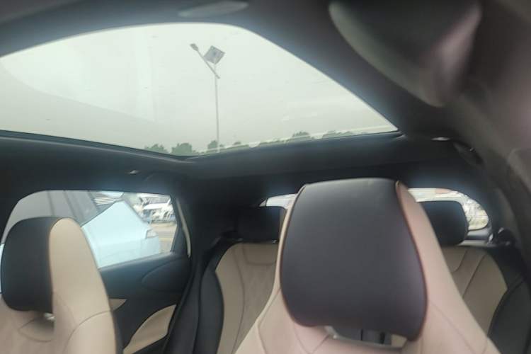 Used BYD Dolphin 2024 Honor Edition 420km Fashion Version Headliner