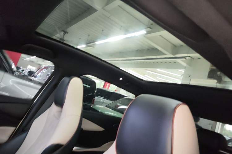Used BYD Dolphin 2024 Honor Edition 420km Fashion Version Headliner