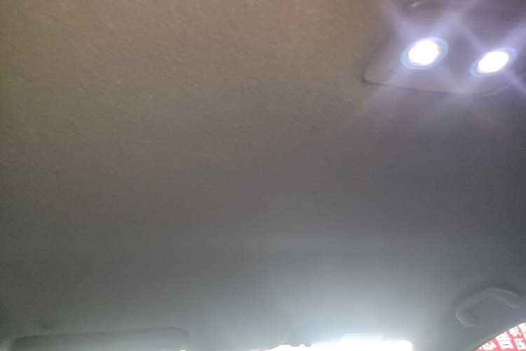 Used BYD Dolphin 2024 Honor Edition 420km Fashion Version Headliner
