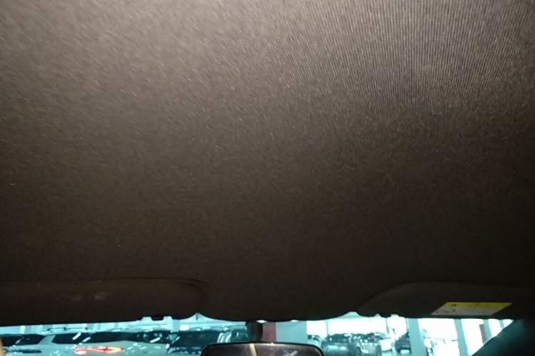 Used BYD Dolphin 2024 Honor Edition 420km Freedom Version Headliner