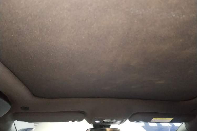 Used BYD Dolphin 2024 Honor Edition 420km Fashion Version Headliner
