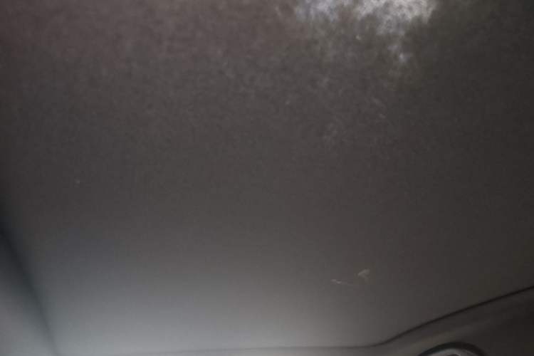Used BYD Dolphin 2024 Honor Edition 420km Fashion Version Headliner