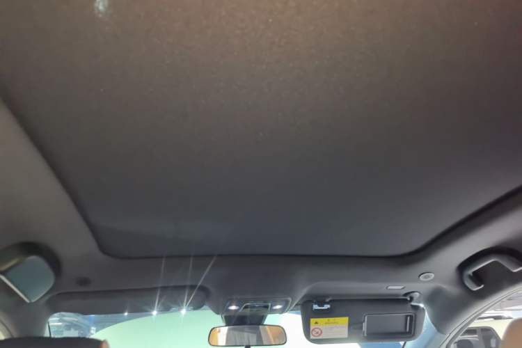 Used BYD Dolphin 2024 Honor Edition 420km Fashion Version Headliner