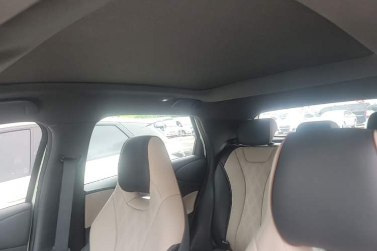 Used BYD Dolphin 2024 Honor Edition 420km Fashion Version Headliner