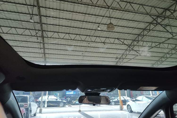 Used BYD Dolphin 2024 Honor Edition 420km Fashion Version Headliner