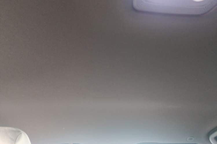 Used BYD Dolphin 2024 Honor Edition 420km Freedom Version Headliner