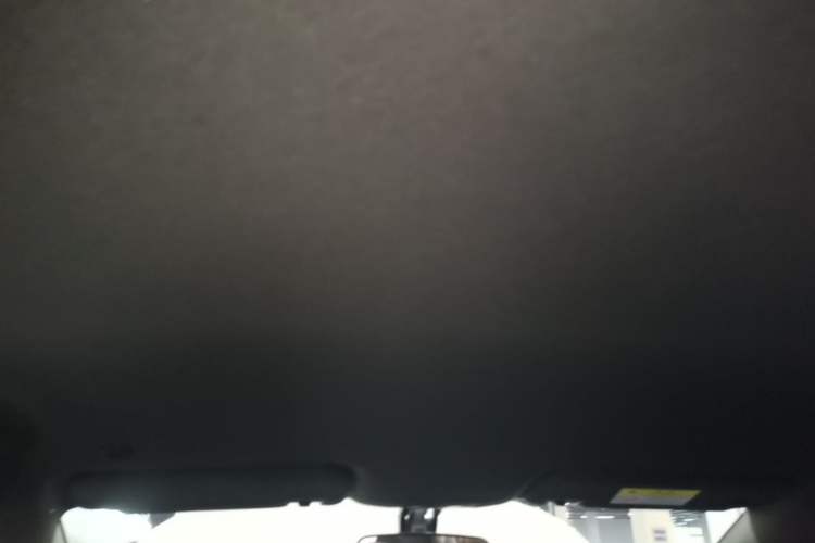 Used BYD Dolphin 2024 Honor Edition 420km Freedom Version Headliner