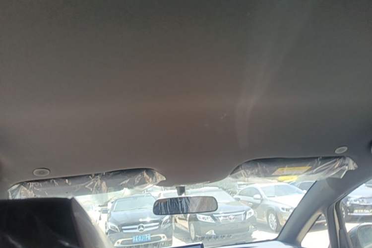 Used BYD Dolphin 2024 Honor Edition 420km Freedom Version Headliner