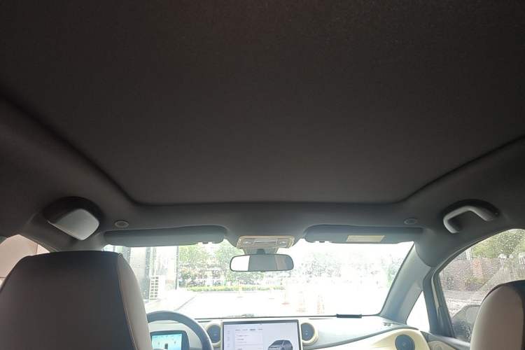 Used BYD Dolphin 2024 Honor Edition 420km Freedom Version Headliner