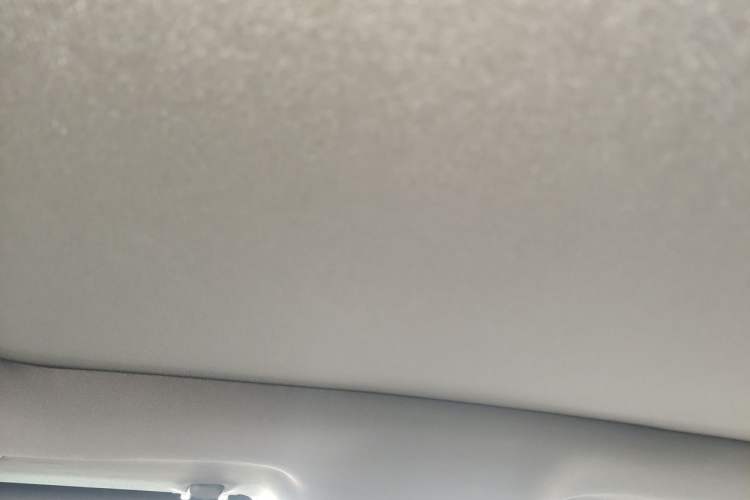 Used BYD Dolphin 2024 Honor Edition 420km Fashion Version Headliner
