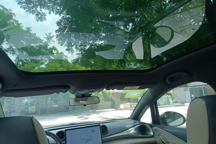 Used BYD Dolphin 2024 Honor Edition 420km Fashion Version Headliner