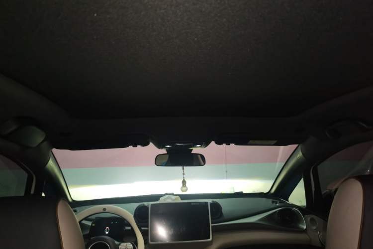Used BYD Dolphin 2024 Honor Edition 420km Fashion Version Headliner