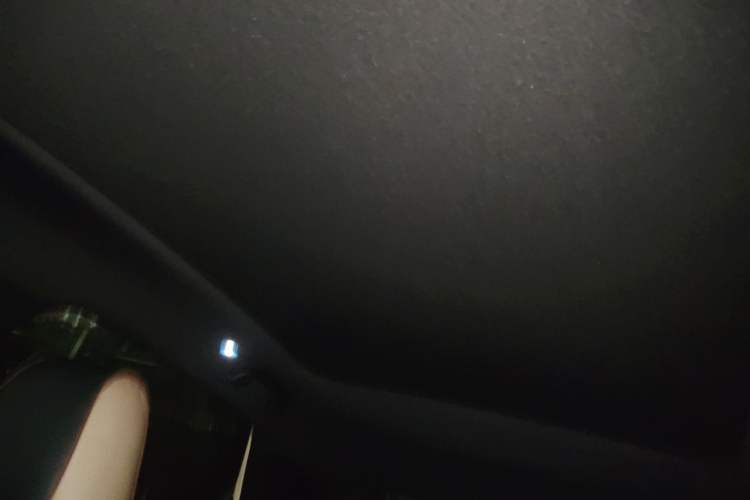 Used BYD Dolphin 2024 Honor Edition 420km Fashion Version Headliner