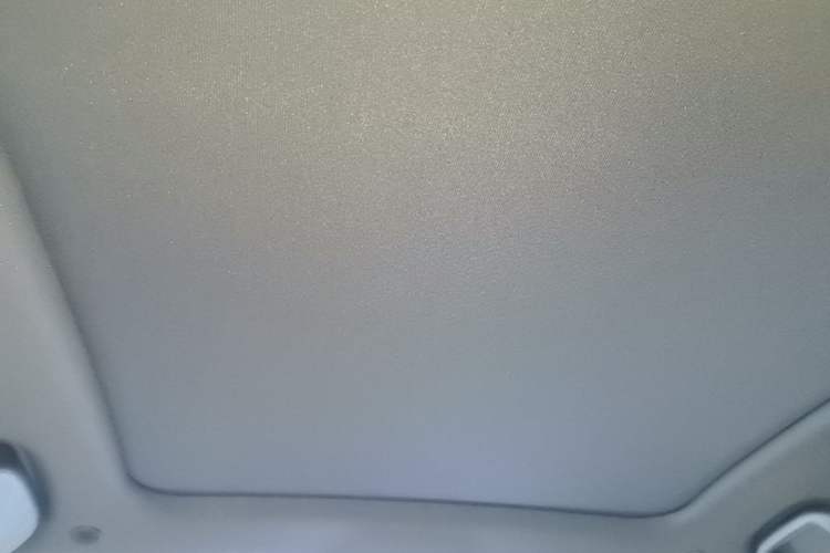 Used BYD Dolphin 2024 Honor Edition 420km Fashion Version Headliner