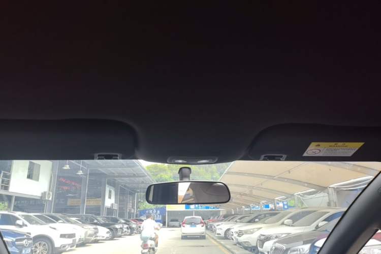 Used BYD Dolphin 2024 Honor Edition 420km Freedom Version Headliner