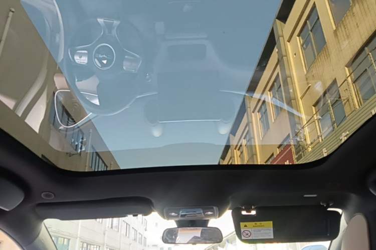 Used BYD Dolphin 2024 Honor Edition 420km Fashion Version Headliner