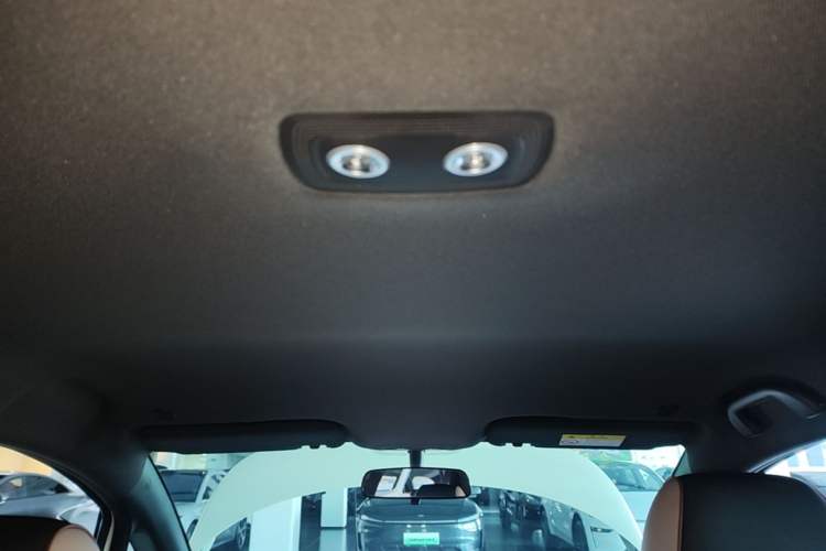 Used BYD Dolphin 2024 Honor Edition 420km Freedom Version Headliner