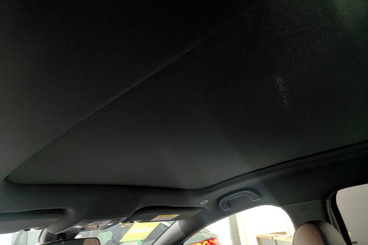 Used BYD Dolphin 2024 Honor Edition 420km Fashion Version Headliner
