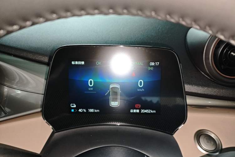 Used BYD Dolphin 2024 Honor Edition 420km Fashion Version Instrument Cluster