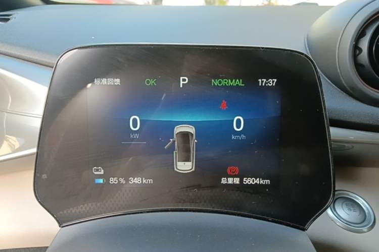 Used BYD Dolphin 2024 Honor Edition 420km Fashion Version Instrument Cluster