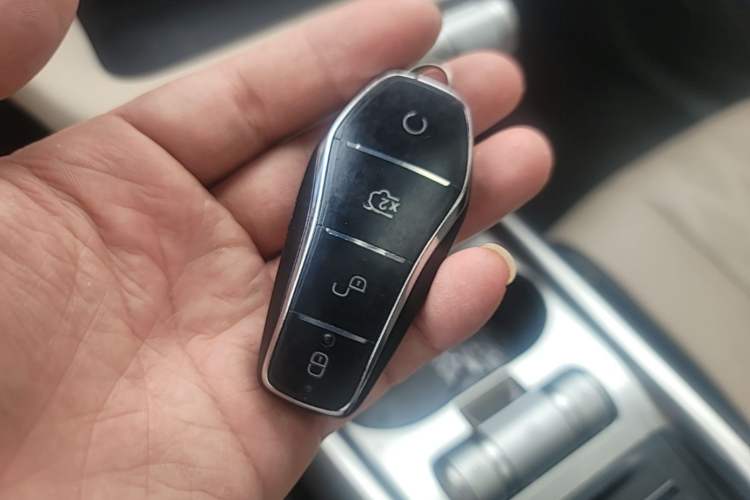 Used BYD Dolphin 2024 Honor Edition 420km Fashion Version Interior 1