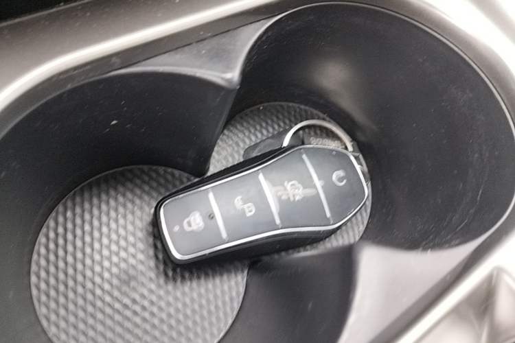 Used BYD Dolphin 2024 Honor Edition 420km Fashion Version Interior 1