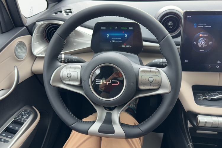 Used BYD Dolphin 2024 Honor Edition 420km Fashion Version Interior 11