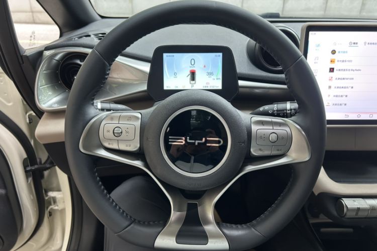 Used BYD Dolphin 2024 Honor Edition 420km Fashion Version Interior 3