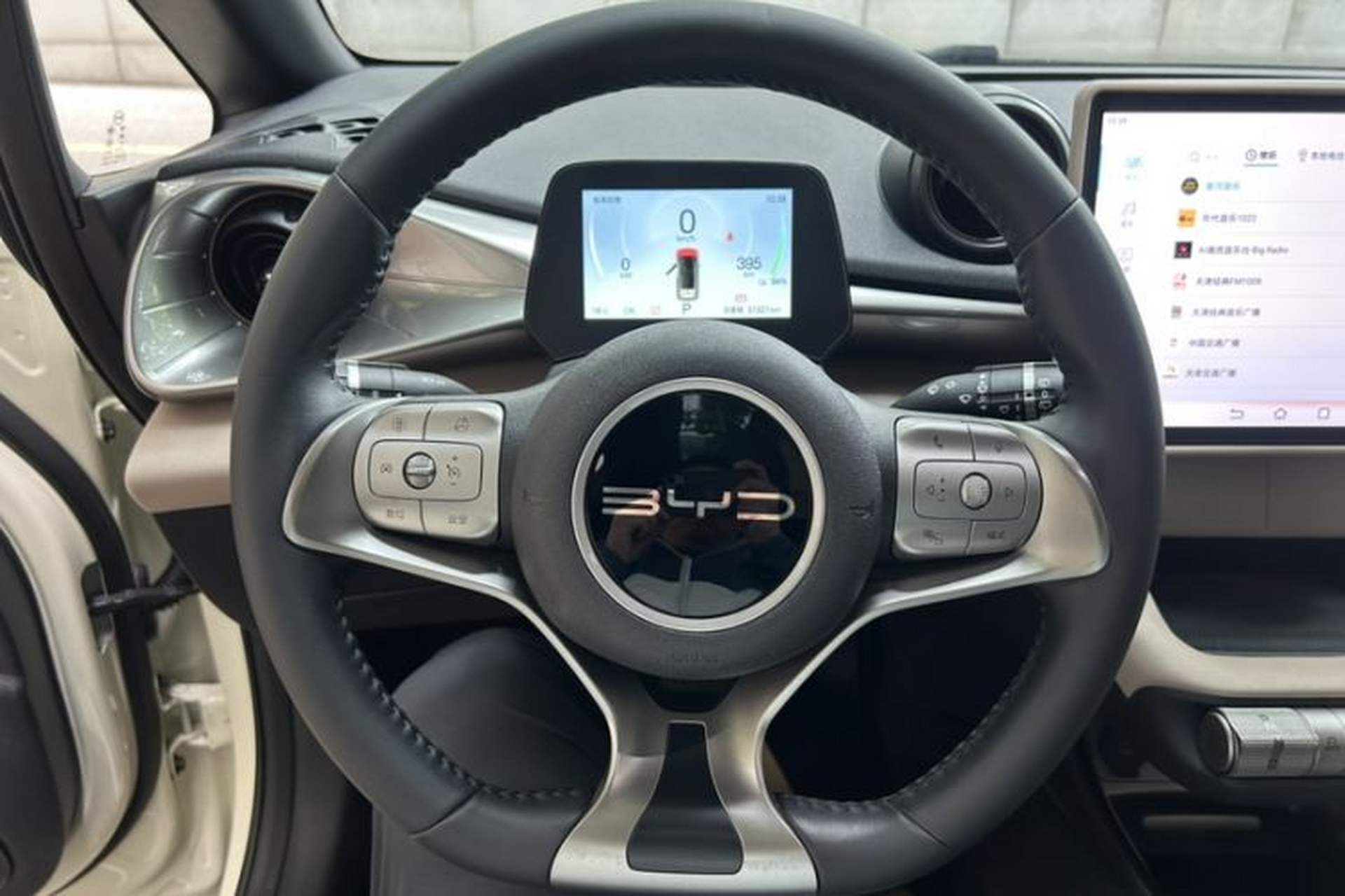 Used BYD Dolphin 2024 Honor Edition 420km Fashion Version Interior 3