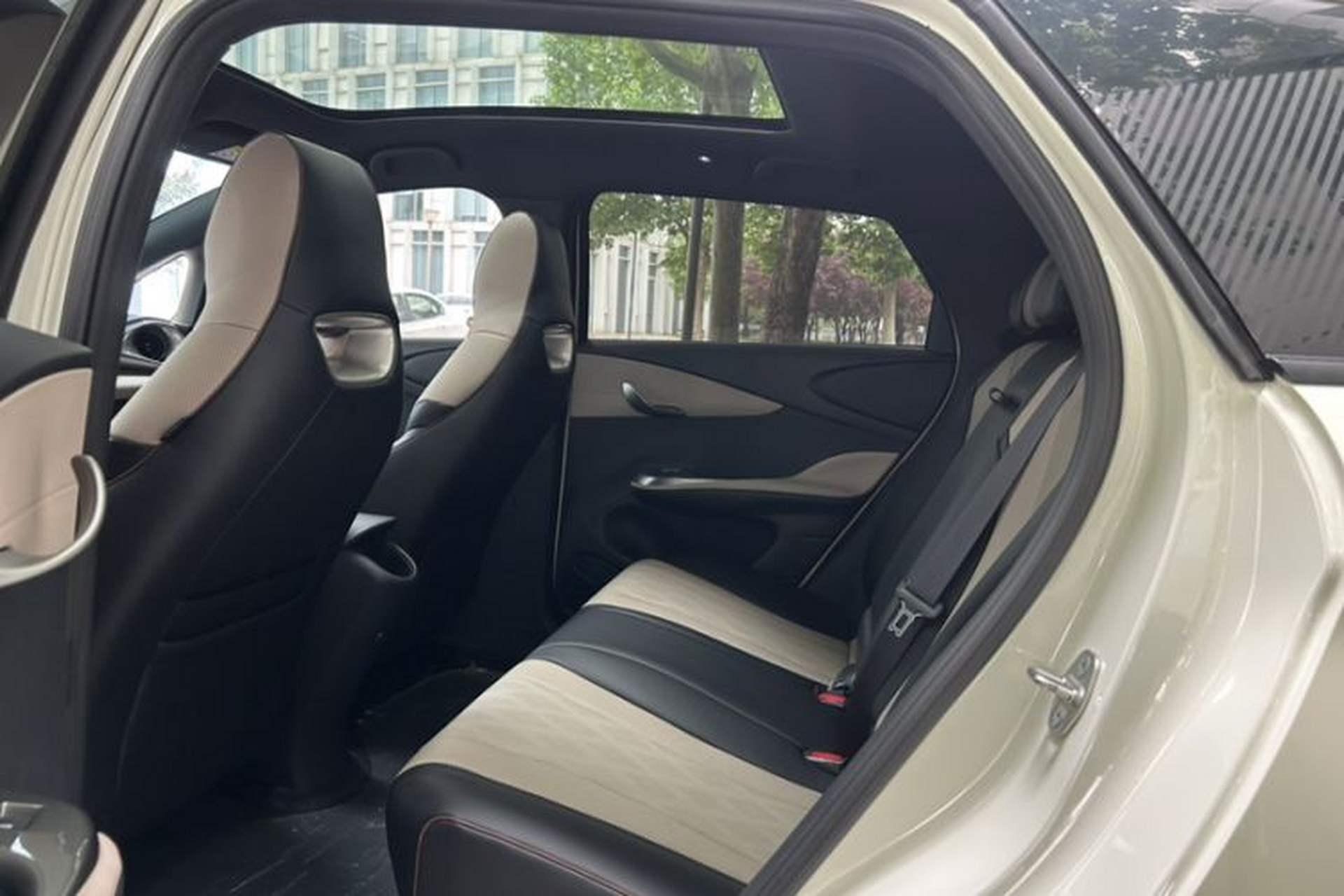 Used BYD Dolphin 2024 Honor Edition 420km Fashion Version Interior 6