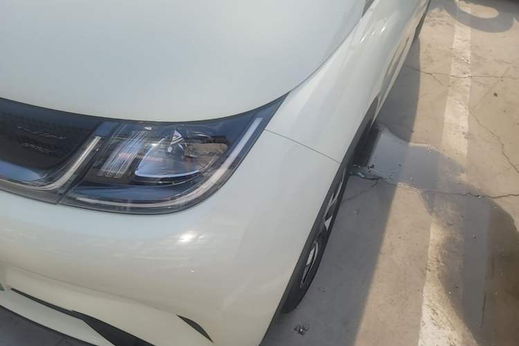 Used BYD Dolphin 2024 Honor Edition 420km Freedom Version Left Front Headlight