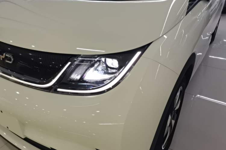 Used BYD Dolphin 2024 Honor Edition 420km Freedom Version Left Front Headlight