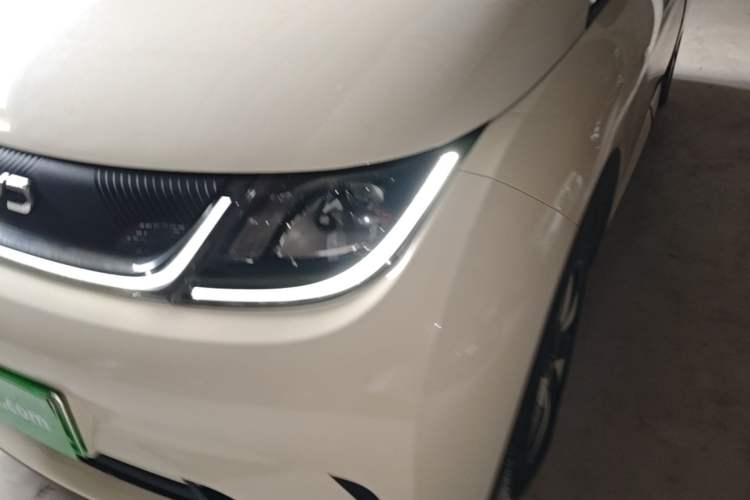 Used BYD Dolphin 2024 Honor Edition 420km Freedom Version Left Front Headlight