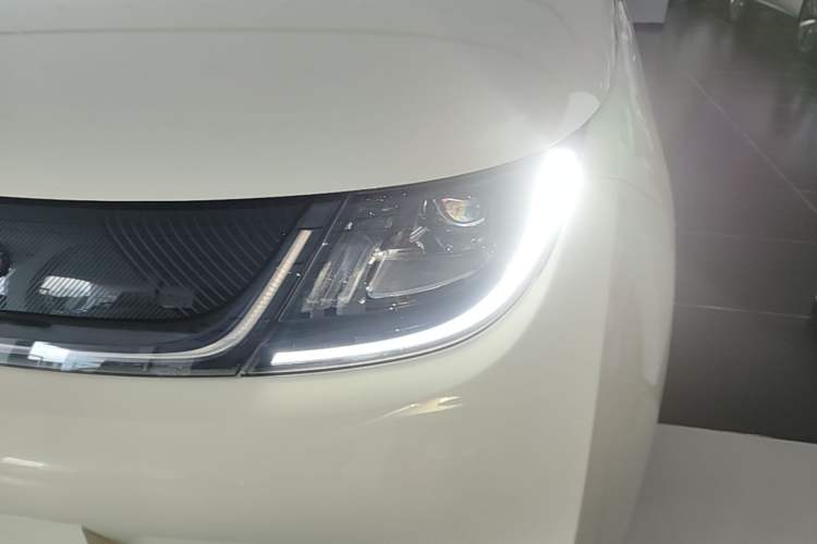 Used BYD Dolphin 2024 Honor Edition 420km Freedom Version Left Front Headlight