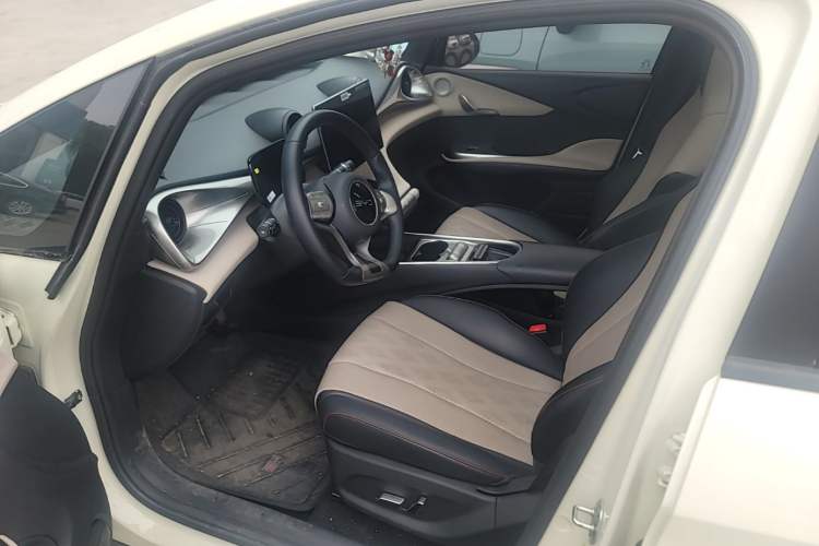 Used BYD Dolphin 2024 Honor Edition 420km Fashion Version Left Front Seat