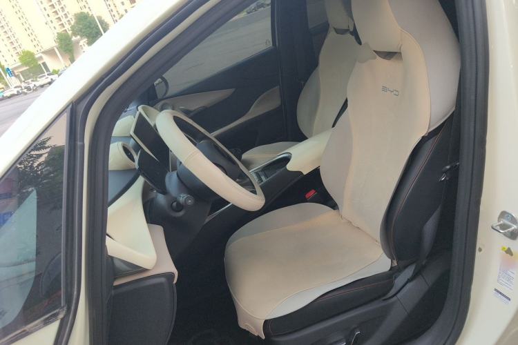 Used BYD Dolphin 2024 Honor Edition 420km Fashion Version Left Front Seat