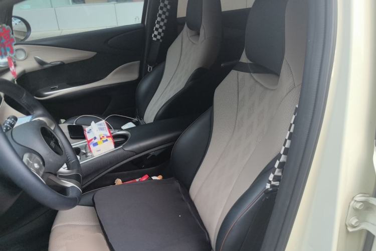 Used BYD Dolphin 2024 Honor Edition 420km Fashion Version Left Front Seat