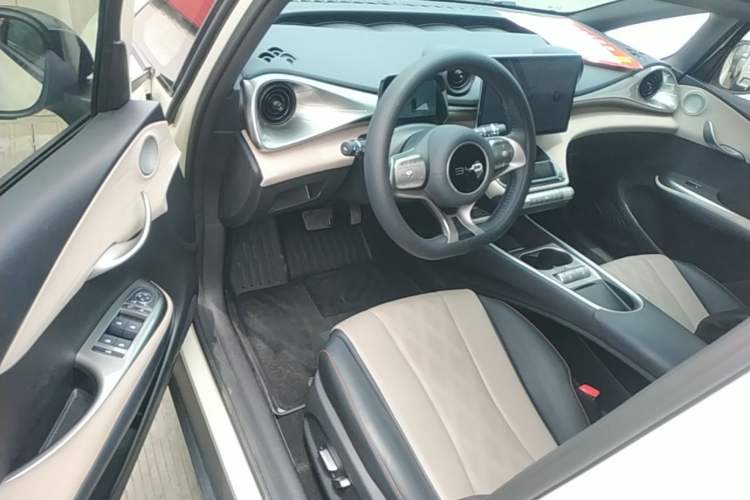 Used BYD Dolphin 2024 Honor Edition 420km Freedom Version Left Front Seat