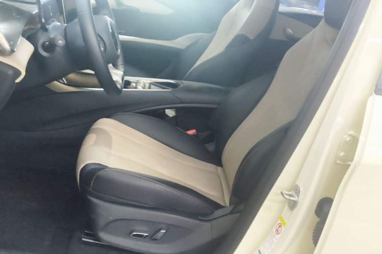 Used BYD Dolphin 2024 Honor Edition 420km Freedom Version Left Front Seat