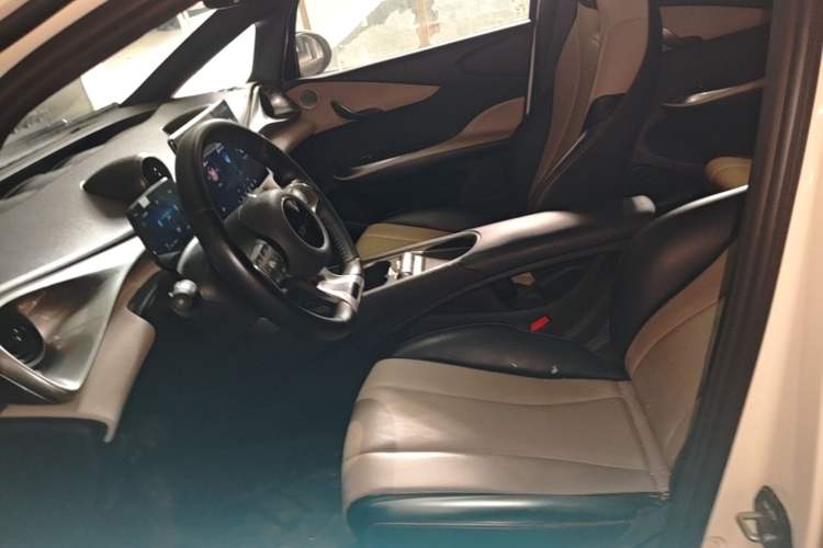 Used BYD Dolphin 2024 Honor Edition 420km Freedom Version Left Front Seat