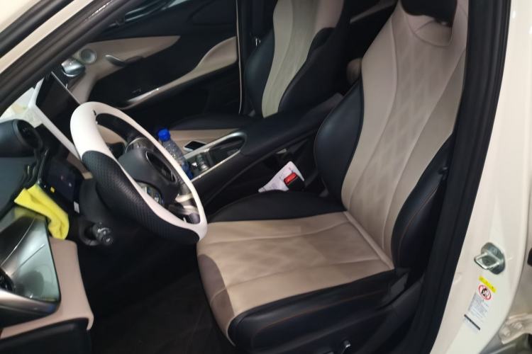 Used BYD Dolphin 2024 Honor Edition 420km Fashion Version Left Front Seat